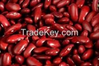 Sell organic dry beans