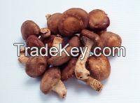 Sell Dired Shiitake Mushrooms