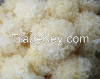 Sell Dired Tremella