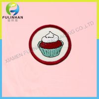 Embroidered Brand Logo Custom Embroidery Patches Sew On / Iron For Clothing