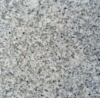 Chinese Granite G603 Granite