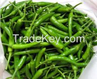 Fresh green chilli