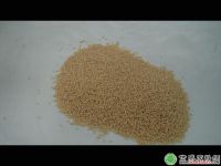 Sell PA66 NATURAL PELLETS