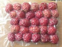 FRESH RAMBUTAN FRUIT (+841642828779)