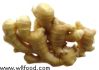 ginger with qood quality and competive price