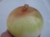 onion with good quality and competive price
