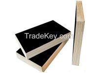 13 plies shuttering plywood