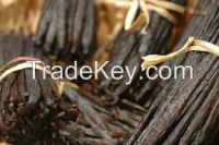 Vanilla Beans