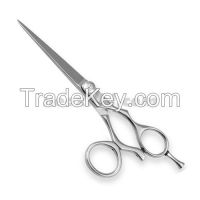 Hair scissors, salon scissors