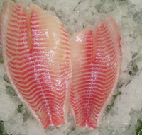 Frozen Tilapia Fish Fillet