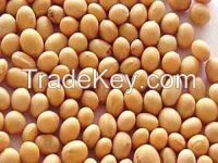 Soy Bean Oil