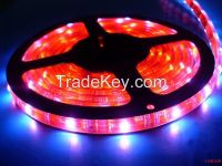 LED Flexible Strip non-waterproof & waterproof for sign or bar/room/hotel/exhibition decoration