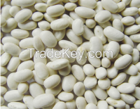 white kidney beans for sale