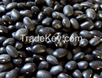 Buy Black beans from Africa