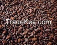 Raw Dried Cacoa Beans