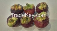 Mangosteen