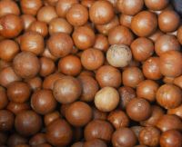 macadamia nuts