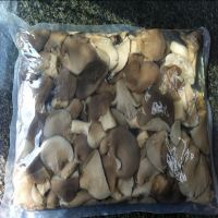 Oyster Mushrooms