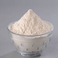 Dehydrated Onion Powder