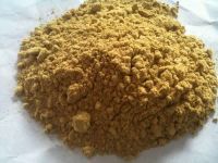 Dehydrated Ginger Powder