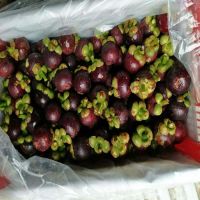 Fresh Mangosteen