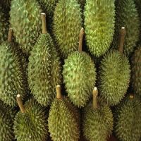 Fresh Durians