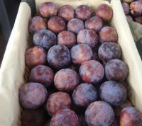 Fresh Plums