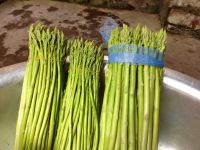 Fresh Asparagus