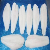 Frozen pangasius fillet well-trimmed