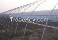 Single-Span Agricultural Greenhouses