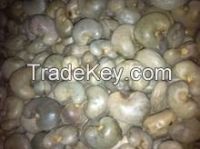 Buy Raw Cashew Nuts