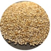 Quality Sesame Seeds