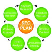 SEO (Search Engine Optimization)