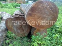 Africa Mahogany AD or KD Sawn