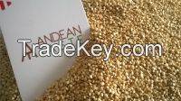 Sell Organic Quinoa Grains