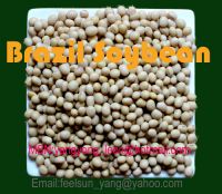Sell Brazil Soybean