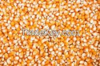 Animal Feed, Barley, Soybean Meal, Yellow maize, Canary seeds, Hemp Seeds, rape seeds, Sorghum Seeds, Oats, canola seeds, Niger seed, Feather meal, Bone meal, Blood meal, fish meal, Flax Seeds