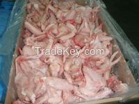 GRADE A HALAL FROZEN WHOLE CHICKEN, CHICKEN PAW, CHICKEN FEET, CHICKEN WINGS