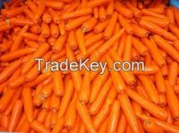 Fresh vegetables carrots for sale , carrot seeds vegetable seeds for sale