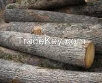 Timber Logs, Bubinga Wood, Tali Woods, African Timber Woods for sale