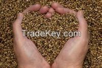 Chia Seeds, Hemp Seeds, Coriander Seeds, Black and White Pepper
