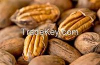 Pecan Nuts and seeds