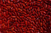 Dried style low price dark red kidney bean
