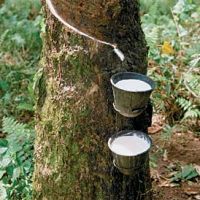 Natural Rubber latex rubber