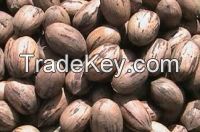 Pecan from Argentina