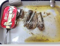 Tasty perfect canned sardines in brine