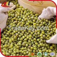 2015 crop green mung bean