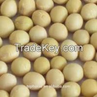 NON-GMO Dried Yellow Soybean