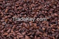 Cocoa beans