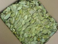 bay leaf dried for sale